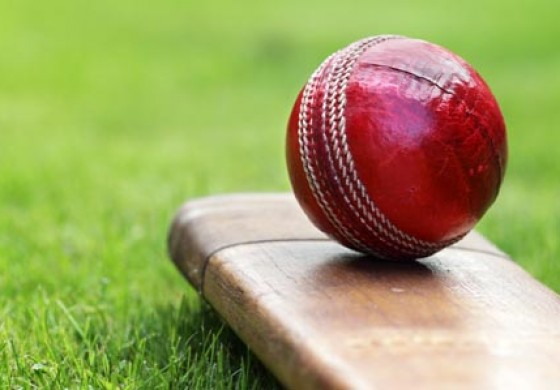 Cricket: Aycliffe beaten by Barnard Castle