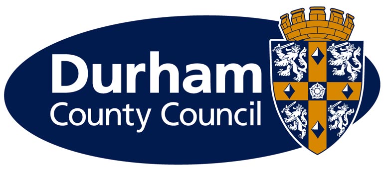Volunteers needed to join council committee