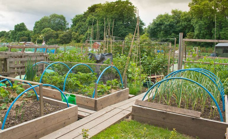 Have your say on allotment policy
