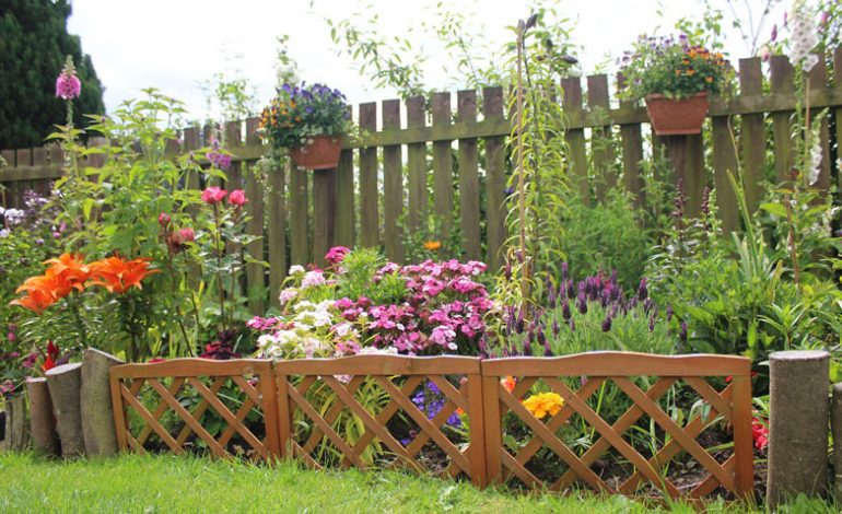 Search begins for County Durham’s most improved gardens