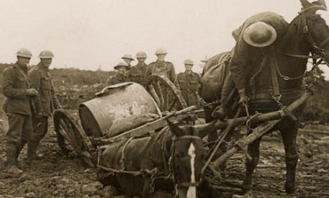 Durham War Horse exhibition