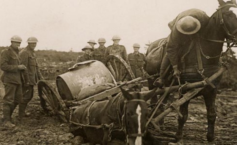 Durham War Horse exhibition