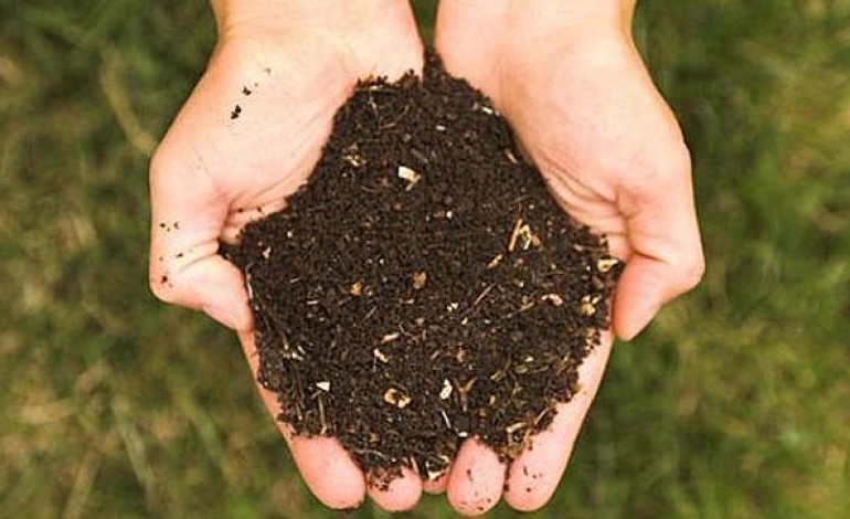 GIVE BACK TO THE EARTH