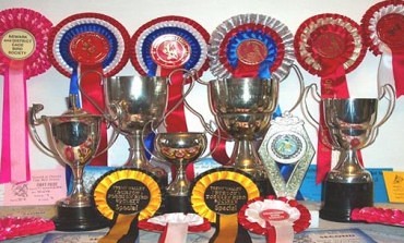 GONGS UP FOR GRABS AT AYCLIFFE SHOW!