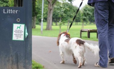 GETTING TOUGH ON LITTERING & DOG FOULING