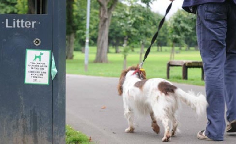 BAG IT AND BIN IT!