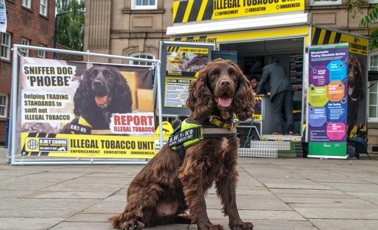 Tobacco detection dogs lend a paw to the law