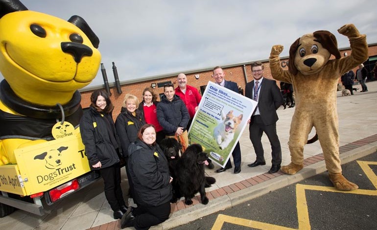 A chip of success for dog campaign