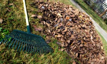 Sign up for next year’s garden waste collection scheme