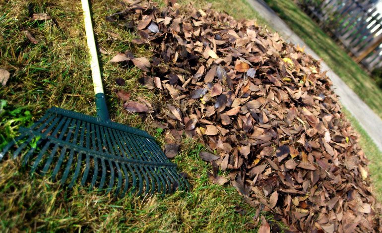 Final garden waste collection of the year