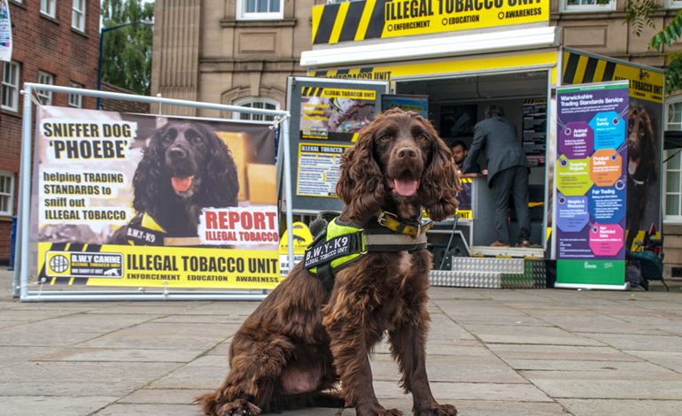 Detection dogs help highlight dangers of illegal tobacco