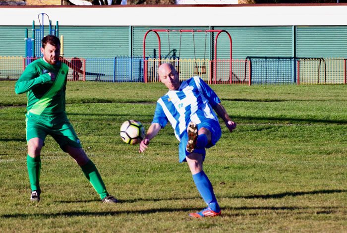 Sports Club smash Ash Tree for 11