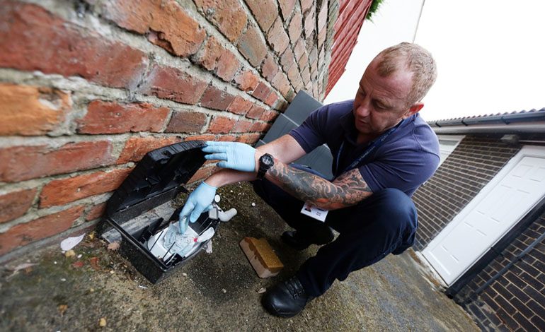 Pest controllers buzzing about new speedier services