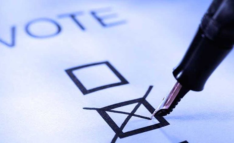 Check your voter information as part of annual survey