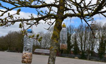 Greenfield students think about the future of their planet