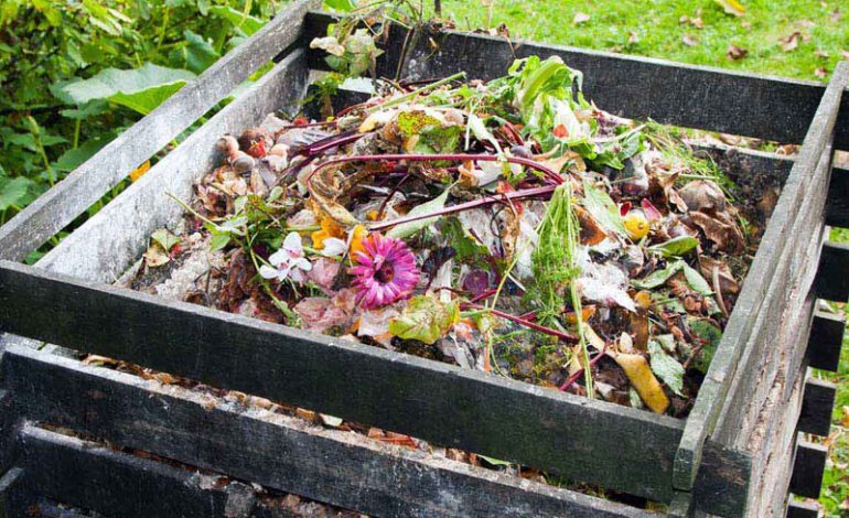 Don’t waste this offer – buy one compost bin and get one half price!