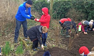 Aycliffe school creates own wildflower meadow to boost local ecosystem