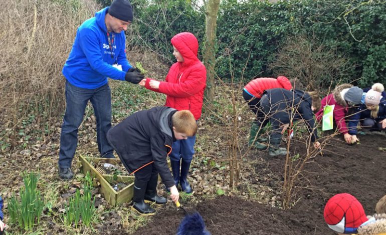 Aycliffe school creates own wildflower meadow to boost local ecosystem