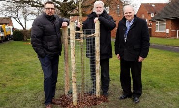 £500k to be spent on thousands of trees – but none for Aycliffe