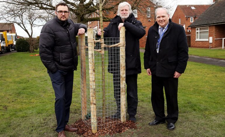 £500k to be spent on thousands of trees – but none for Aycliffe