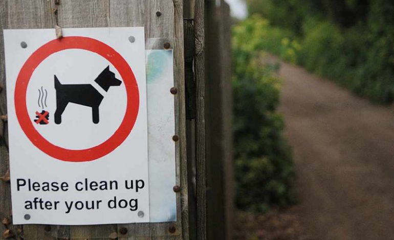 Have your say on dog fouling measures