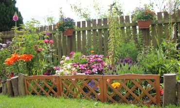 Search begins for County Durham’s most improved gardens