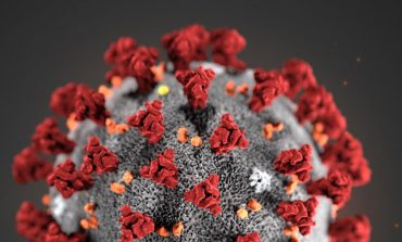 Responding to the coronavirus pandemic