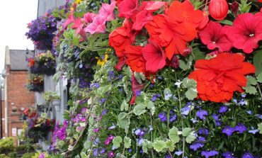 Still chance to grab a gardening prize