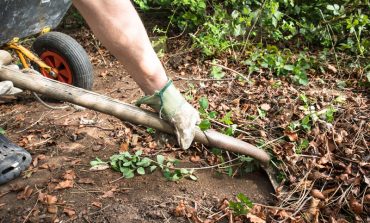 Sign up for 2021 garden waste collections
