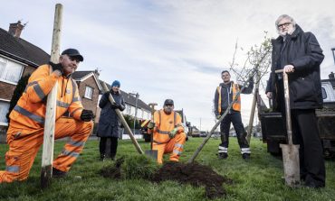 Opportunity for people to plant trees in their area