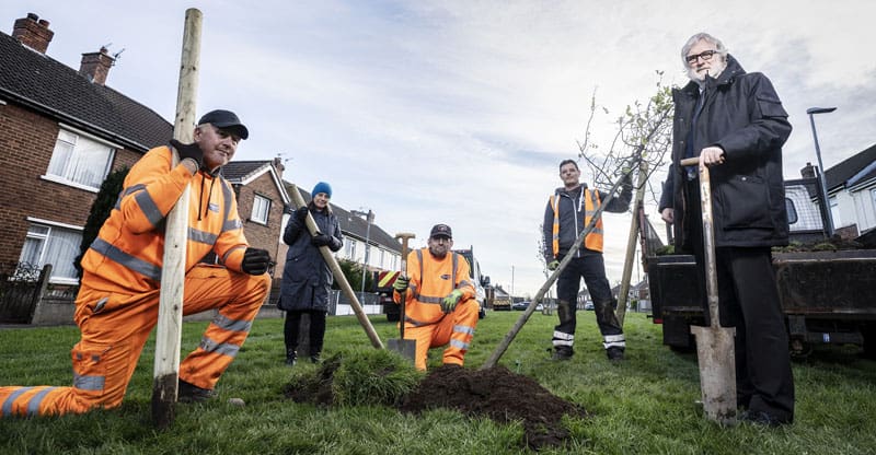 Opportunity for people to plant trees in their area