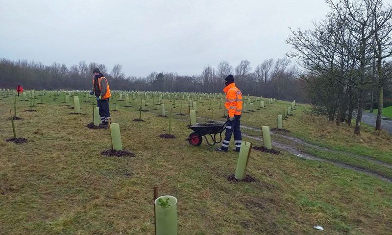 Tree planting scheme nears completion