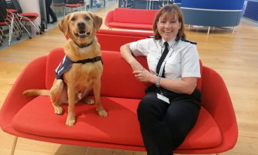 Four-legged friend joins police wellbeing team