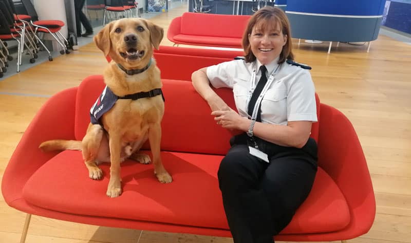 Four-legged friend joins police wellbeing team