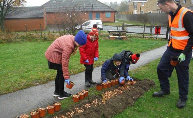 Chance to apply for floral treats to spruce up area