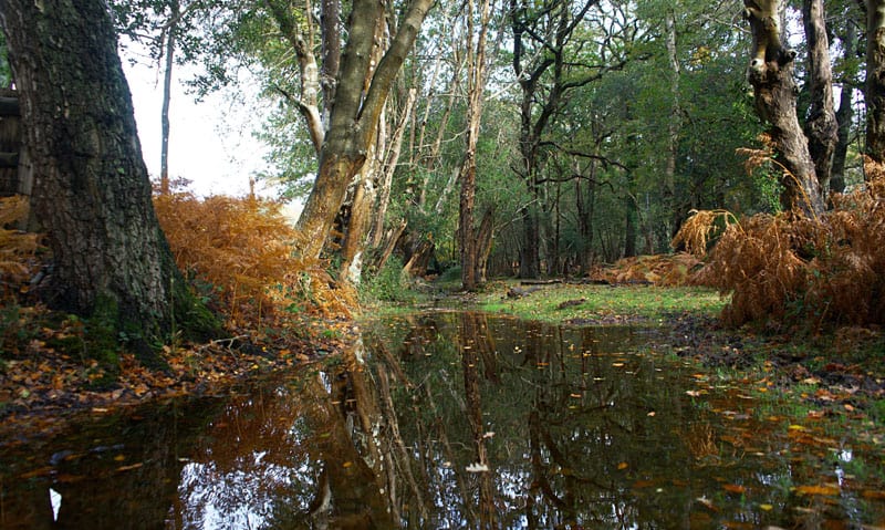 New photography workshops at Greenfield Arts