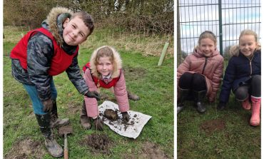 3,200 trees planted by County Durham children