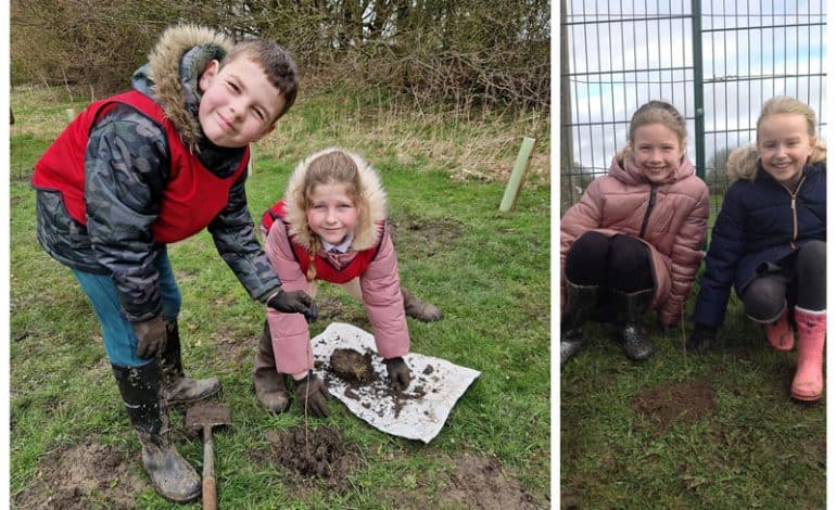 3,200 trees planted by County Durham children