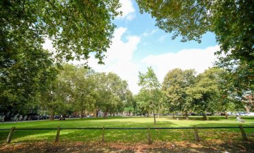 Share your views on green spaces