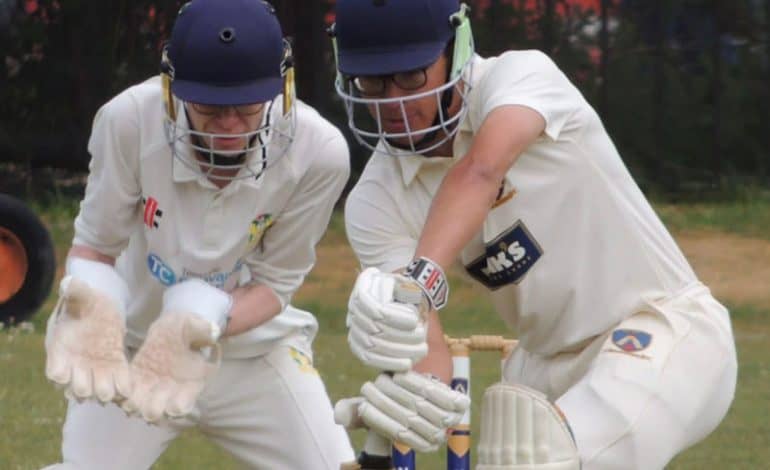 Aycliffe Cricket round-up